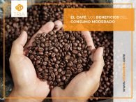 CAFÉ: LOS BENEFICIOS DEL CONSUMO MODERADO